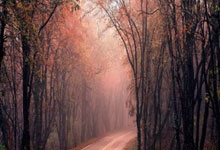 利物浦不敌东京FC亚冠战事栩栩如生