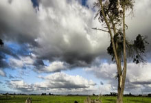 利物浦不敌东京FC亚冠战事栩栩如生