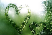 山西汾酒遭遇连败，季后赛席位岌岌可危