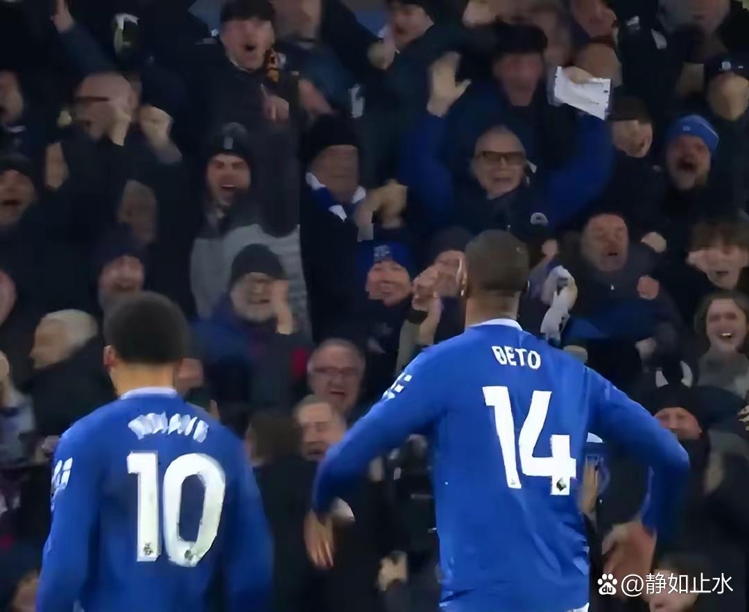 关于埃弗顿遭遇失利，联赛战绩不尽如人意的信息