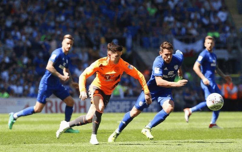 水晶宫客场负于沃特福德,保级形势岌岌可危的简单介绍 水晶宫客场负于沃特福德,保级形势岌岌可危的简单介绍